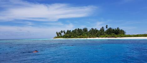 Beach massages, beach yoga