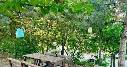 Bolu Otel
