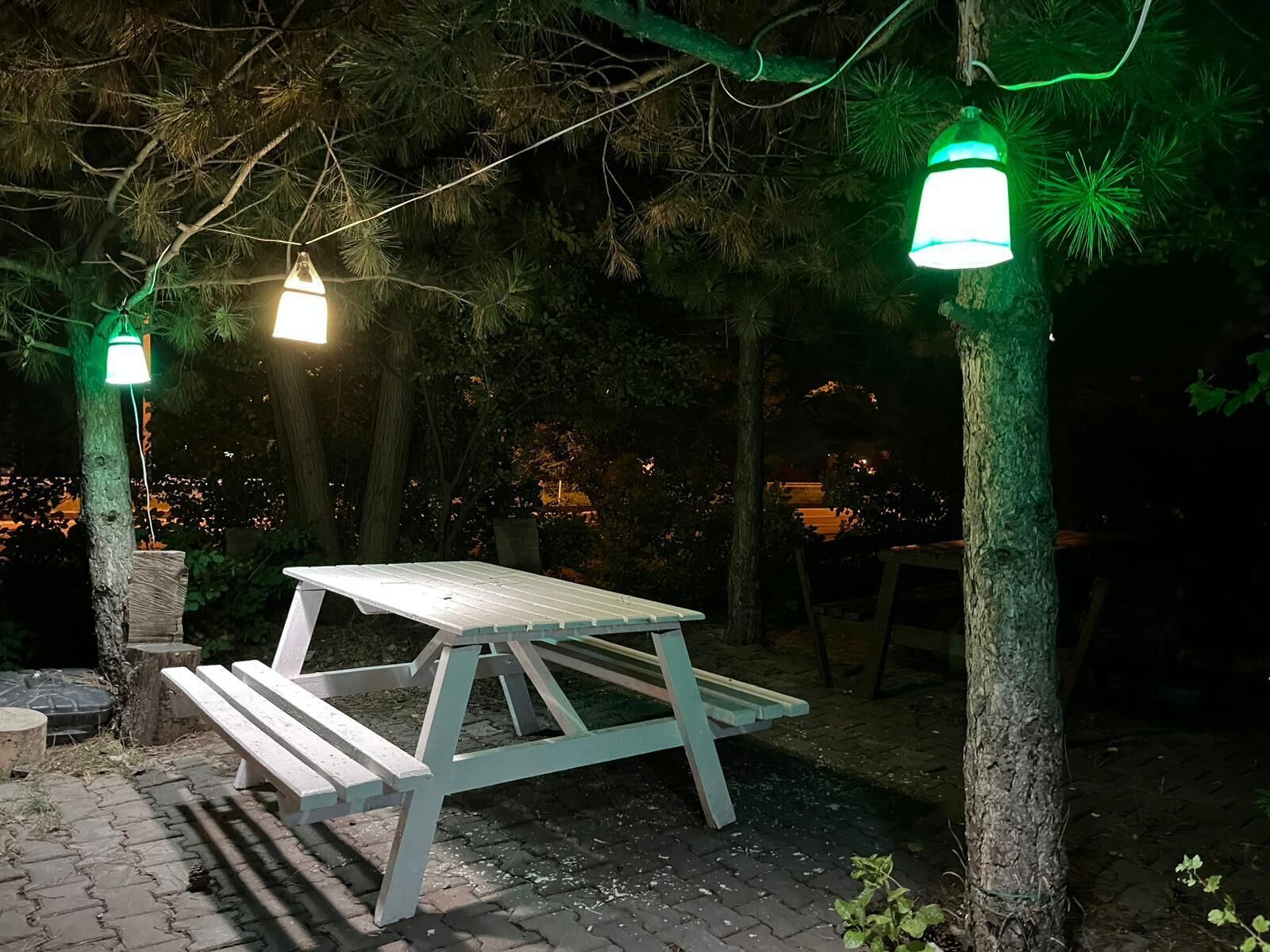 An outdoor seating area with a picnic table and benches, surrounded by trees and illuminated by hanging lights.