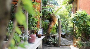 Lobby sitting area - Baannoi Nornmuan Home (Chiang Mai)
