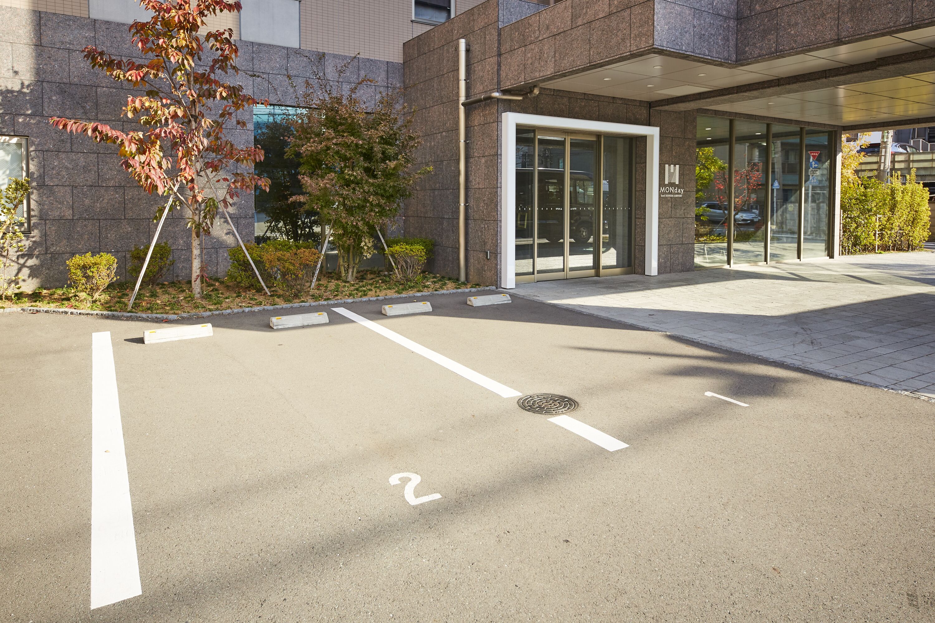 Een parkeerplaats met een aangeduide plek, een gebouwtoegang en een boom.