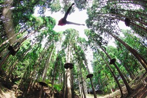 Property grounds - Auberge ALBIREO (Toyooka)