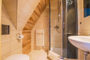 Shower, hair dryer, towels