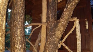 A wooden structure with exposed beams and branches, likely part of a rustic building or cabin. - Eighth Wonder Resort (Sigiriya)