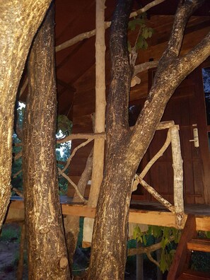 Enceinte de l’hébergement