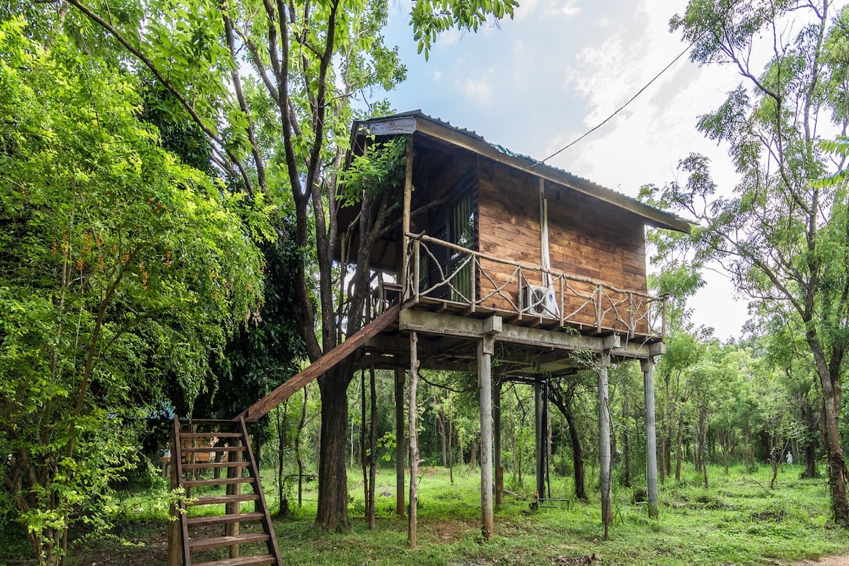 A wooden treehouse with a ladder, surrounded by lush greenery.