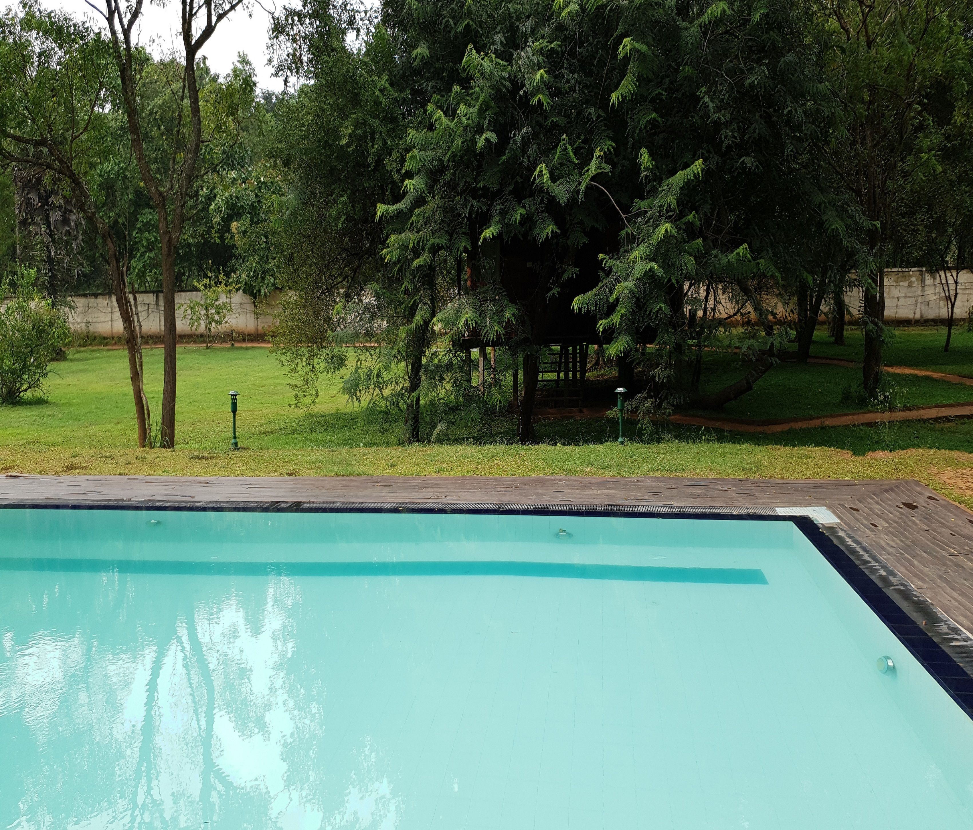 A swimming pool with a wooden deck, surrounded by a grassy area and trees.