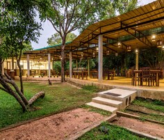 International cuisine