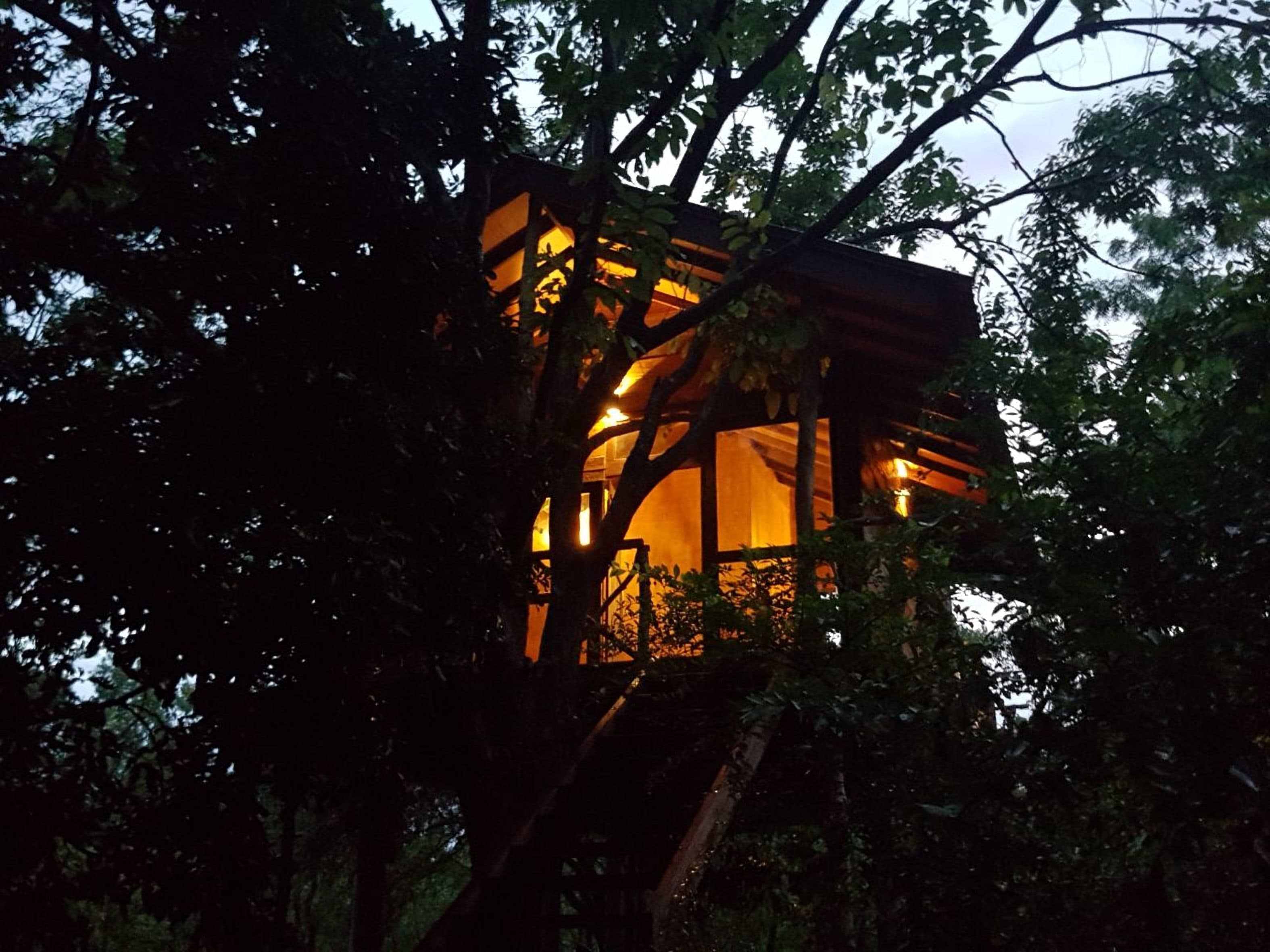 Luxury Tree House, 1 Bedroom, Garden View | Premium bedding, desk, blackout curtains, soundproofing