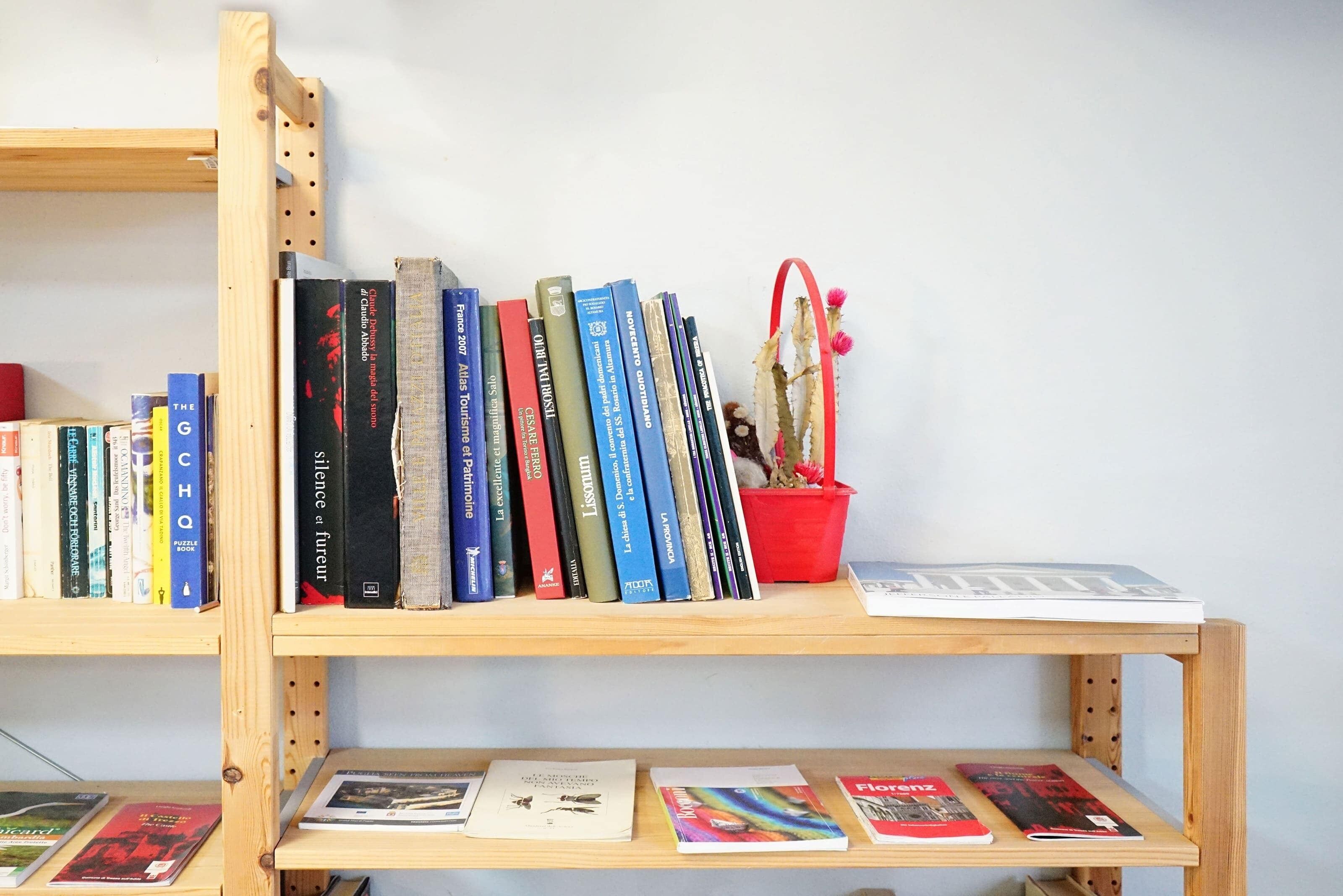 A bookshelf with various books and a small red pot with a plant.