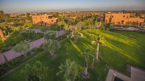 Zona residencial con un amplio césped verde, palmeras y edificios de techos planos.