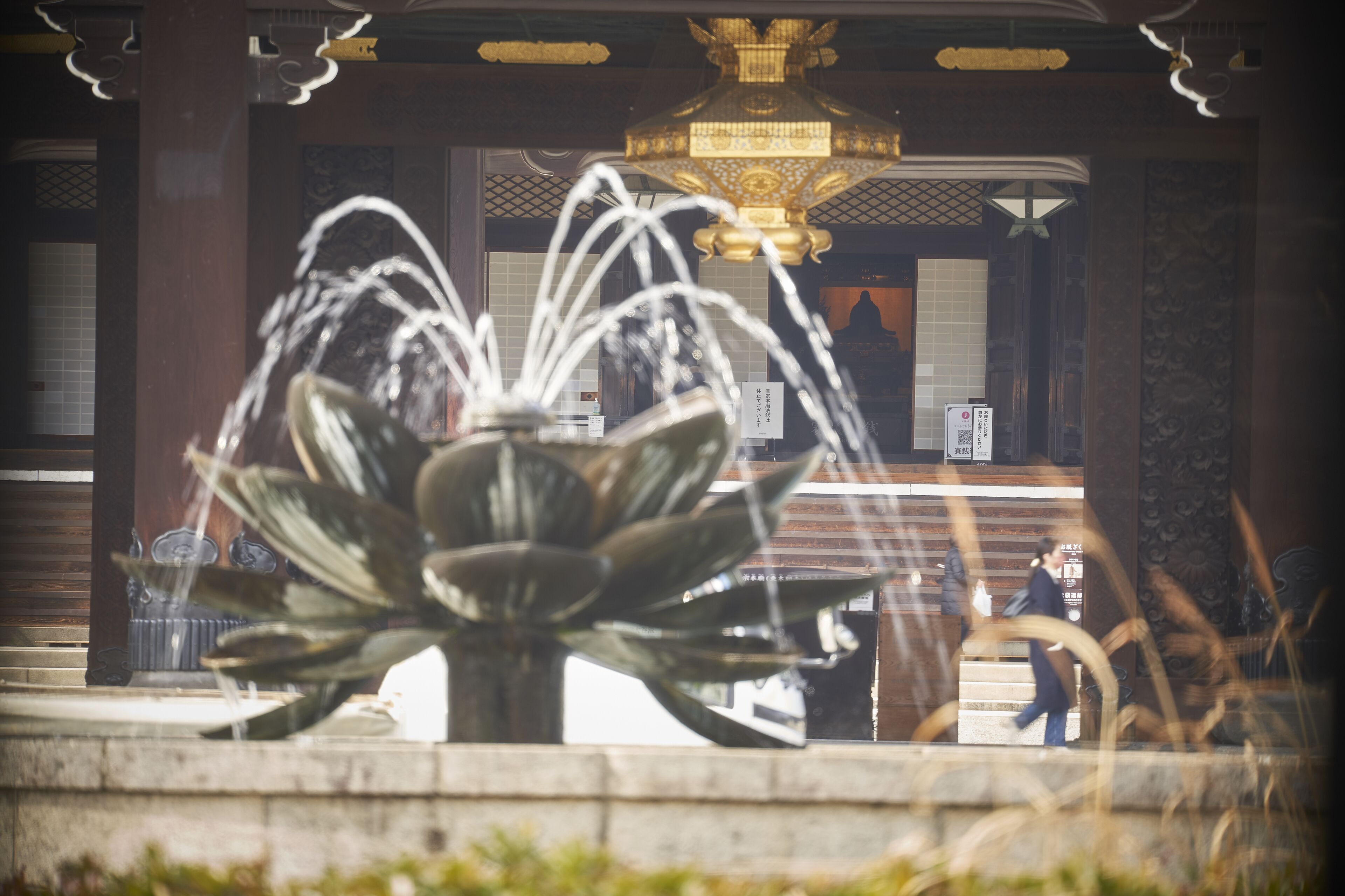 land view from property