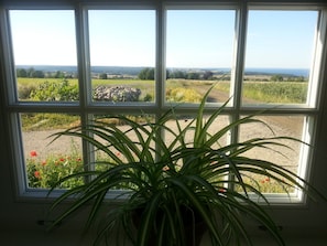 View from property - Bästekille Gårdshotell (Kivik)