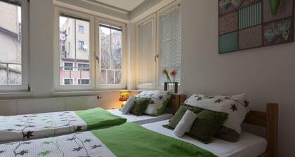 Hostel Vagabond