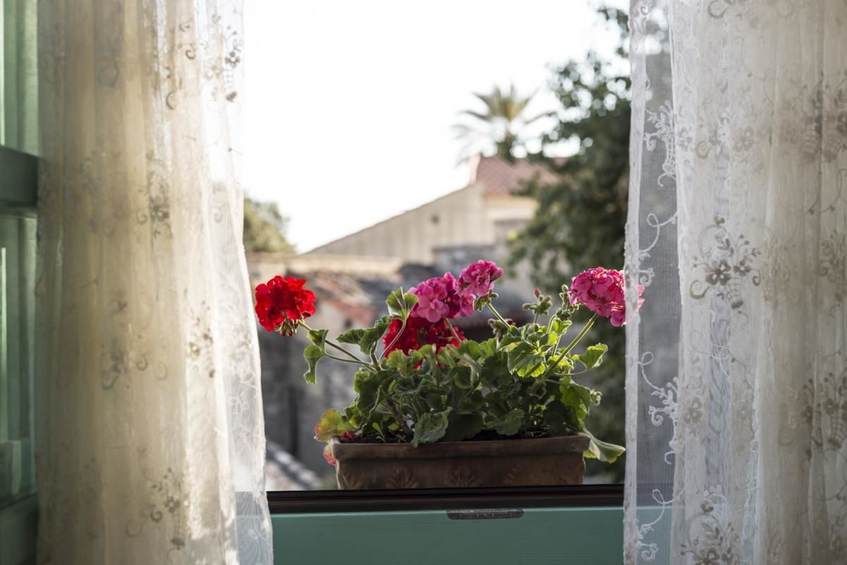 Ein Fenster mit einem Blumentopf voller pinkfarbener Blüten.