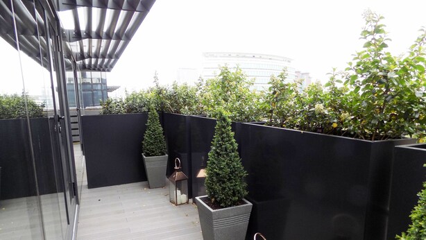 Appartement Penthouse, 3 chambres (54) | Balcon