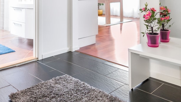 Ein modernes Interieur mit Holzboden, einem grauen Teppich, einer weißen Tür und einem kleinen Tisch mit einer Pflanze.