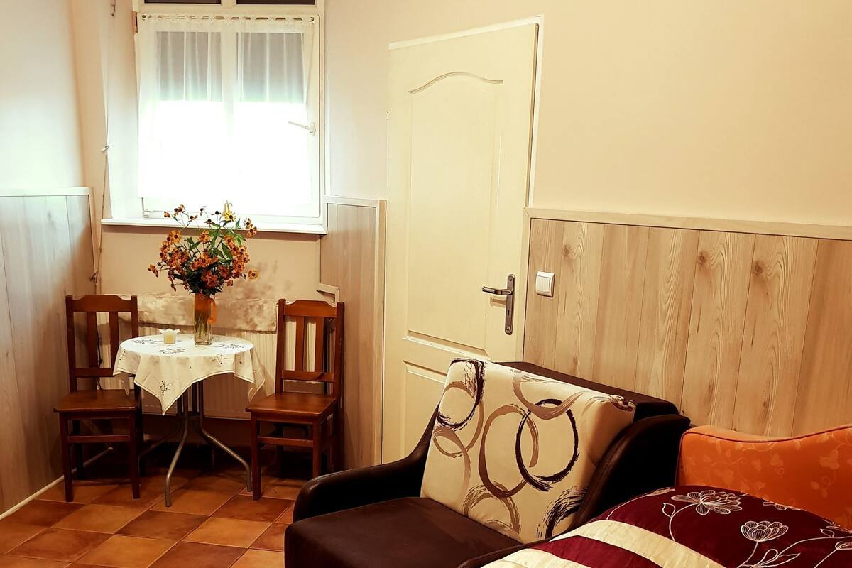 Comfort Apartment (Studio 1a) | Iron/ironing board (on request), WiFi (free), bed sheets