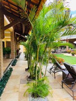 Deluxe Room | Terrace/patio