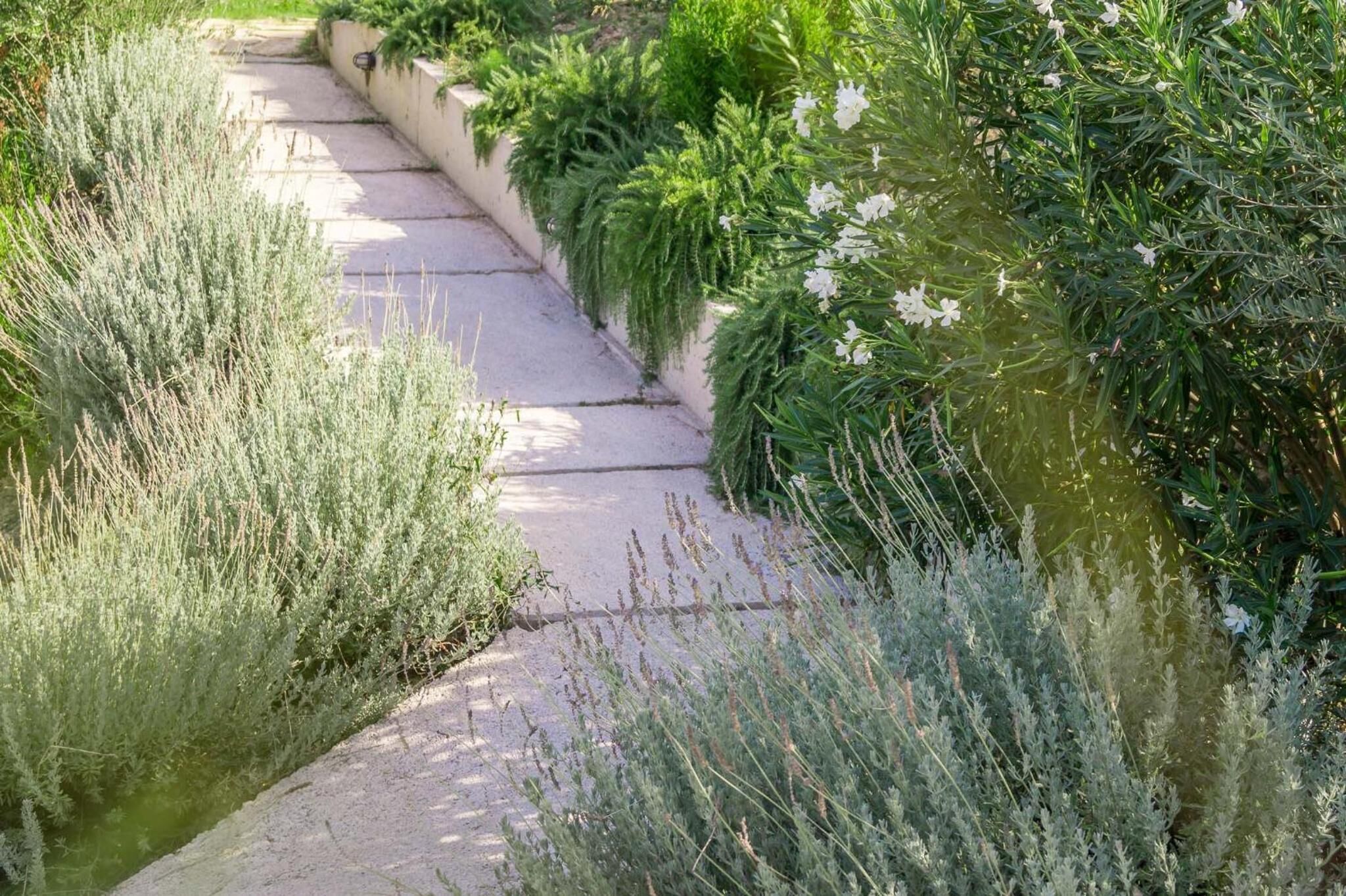 Áreas de la propiedad