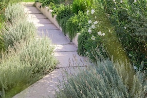 Jardines del alojamiento