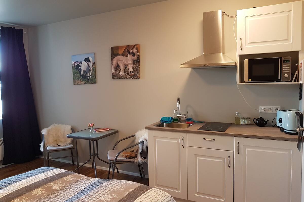 A compact kitchen with a microwave, sink, and a small dining area with a chair and a fluffy rug.