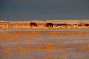 Vistas desde el alojamiento