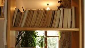 A bookshelf with books and a potted plant. - Willa Pod Bandera (Zakopane)