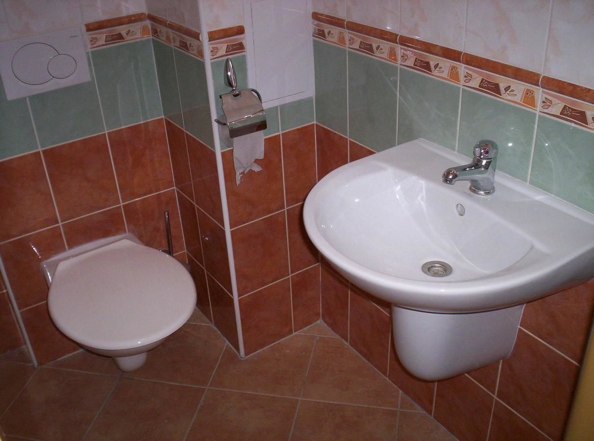A bathroom with a toilet and a sink.