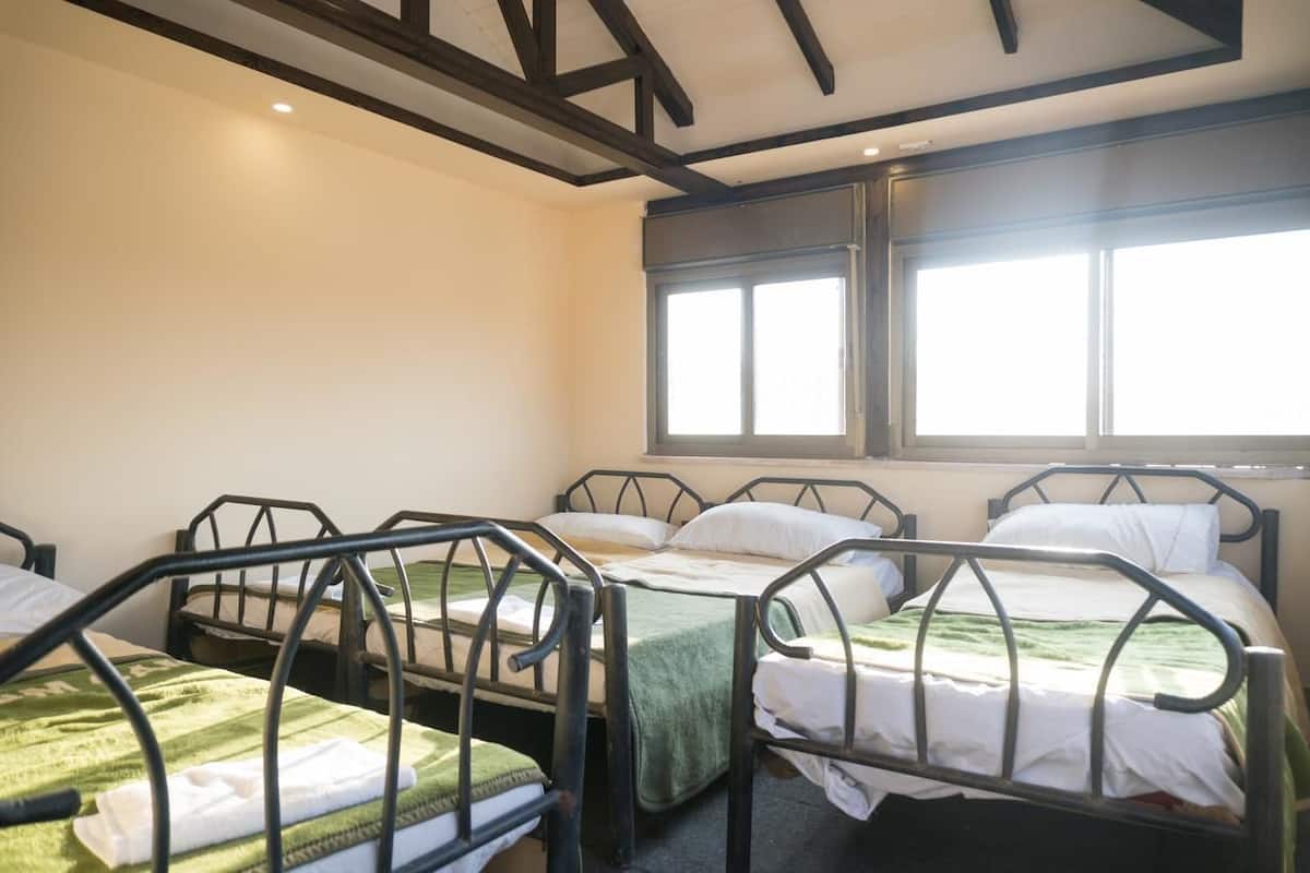 Slaapzaal, alleen voor mannen, gedeelde badkamer | Een bureau, een strijkplank/strijkijzer, gratis wifi