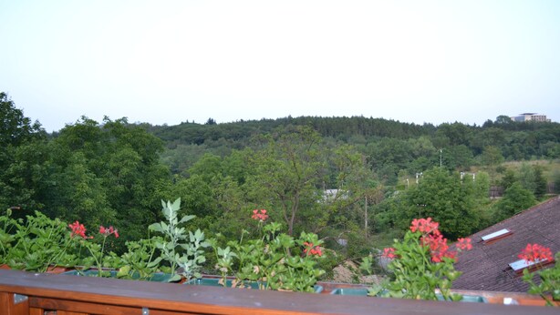A balcony with a wooden railing overlooking a lush green landscape with trees and a hill in the background. - Penzion Levandule (Brno)