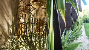 Um jardim com plantas altas e um muro de pedra.