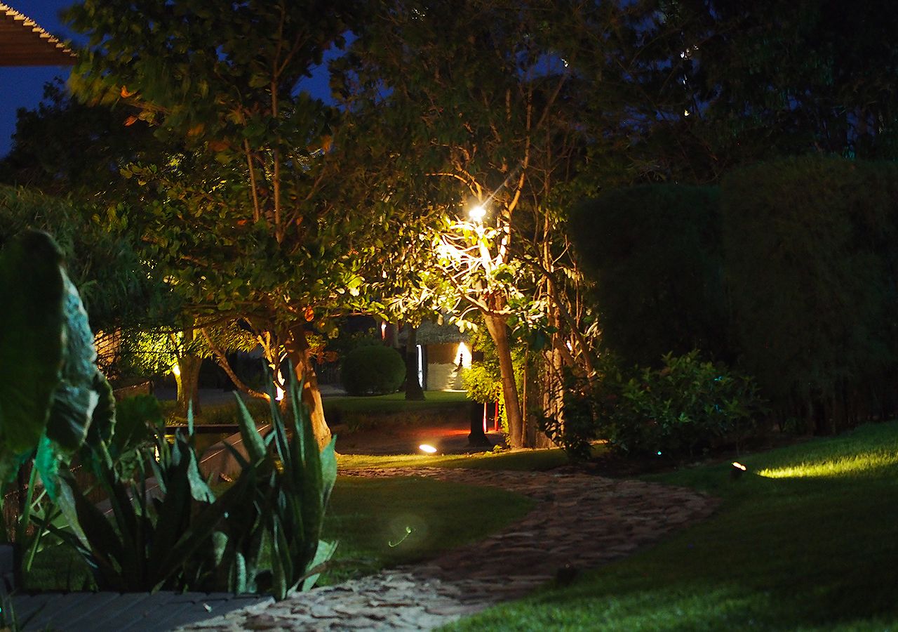 A garden pathway leading to a house with a well-lit porch area, surrounded by lush greenery.