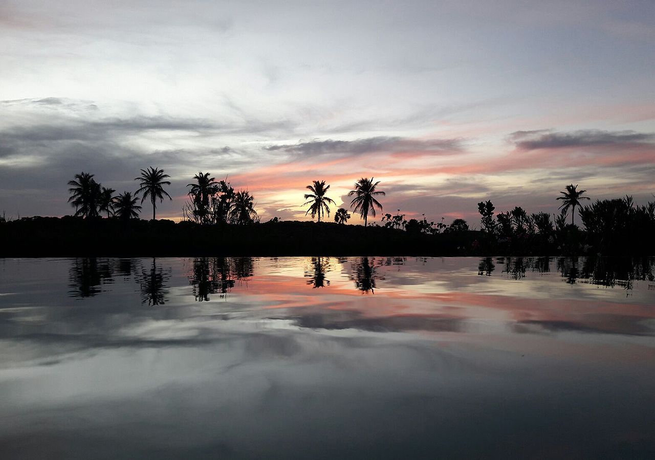 A calm lake with reflections of palm trees and a sunset sky.