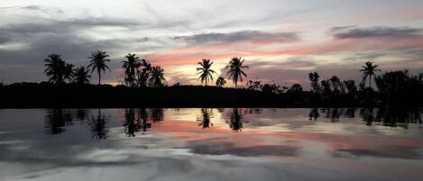 A calm lake with reflections of palm trees and a sunset sky.