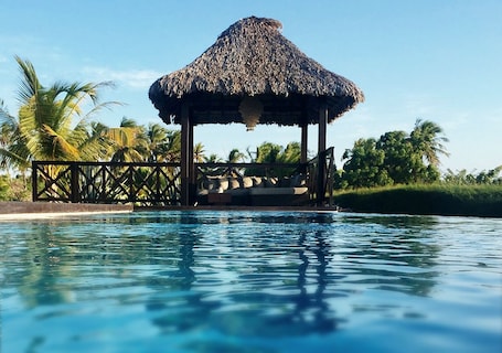 Una piscina al aire libre, sombrillas, sillones reclinables de piscina