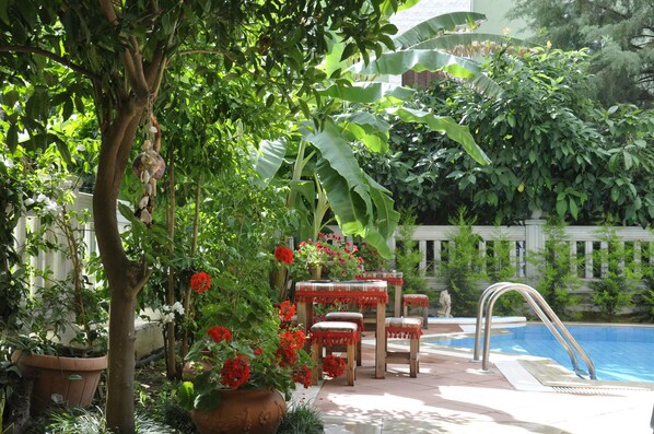 Outdoor pool, pool umbrellas, pool loungers - Hotel Villa Casablanca (Konyaalti)