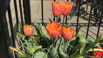 Une plante en pot avec des tulipes oranges et des feuilles vertes.