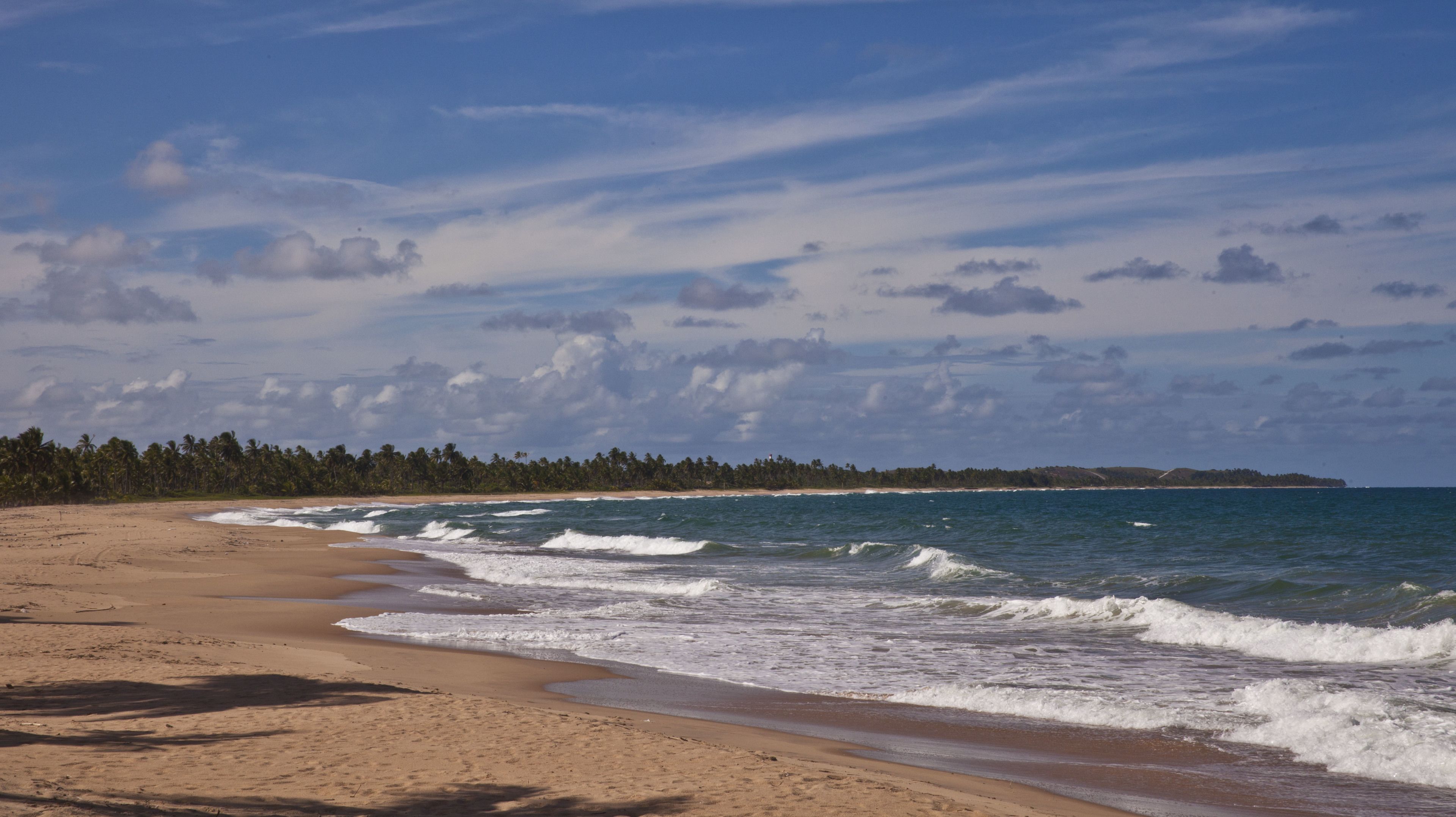 A beach with a sandy shore and waves.