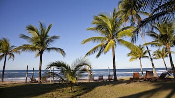 A beach with palm trees and lounge chairs.