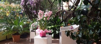 Hotel Stipino