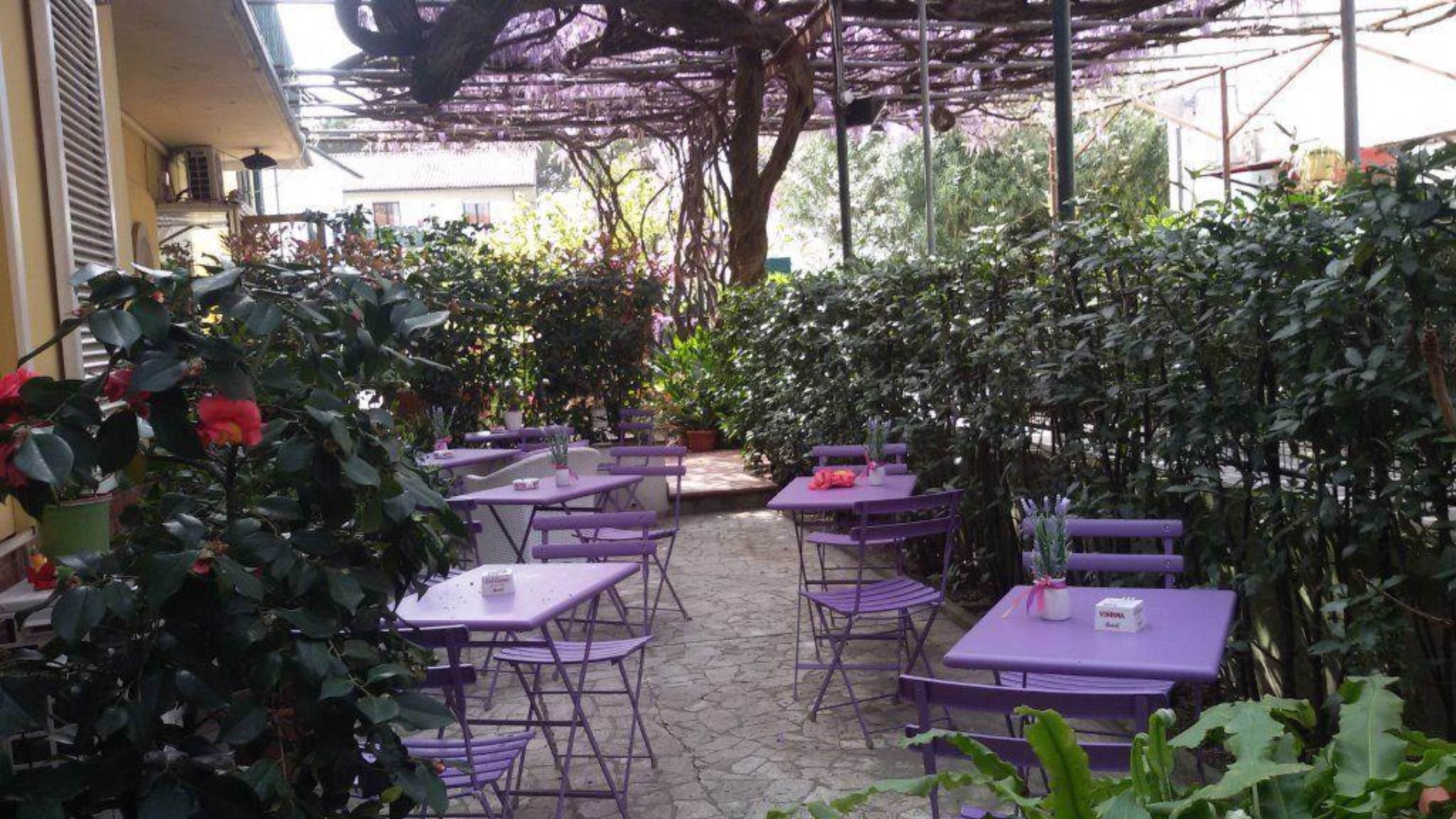 outdoor banquet area