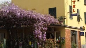 A yellow building with a sign reading "HOTEL" and "STIPINO" on the side. - Hotel Stipino (Lucca)