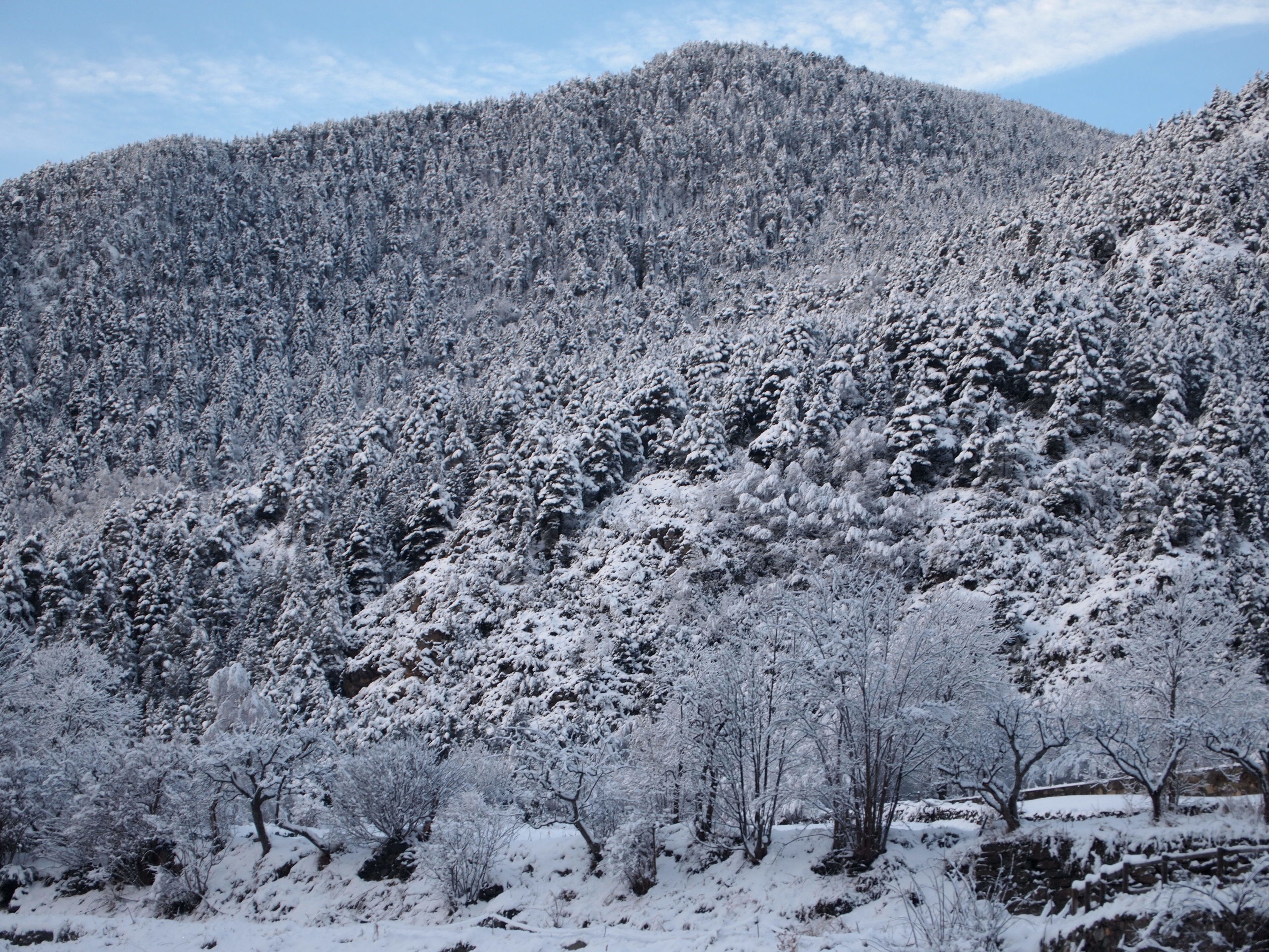 A snow-covered mountainous landscape with dense forests.