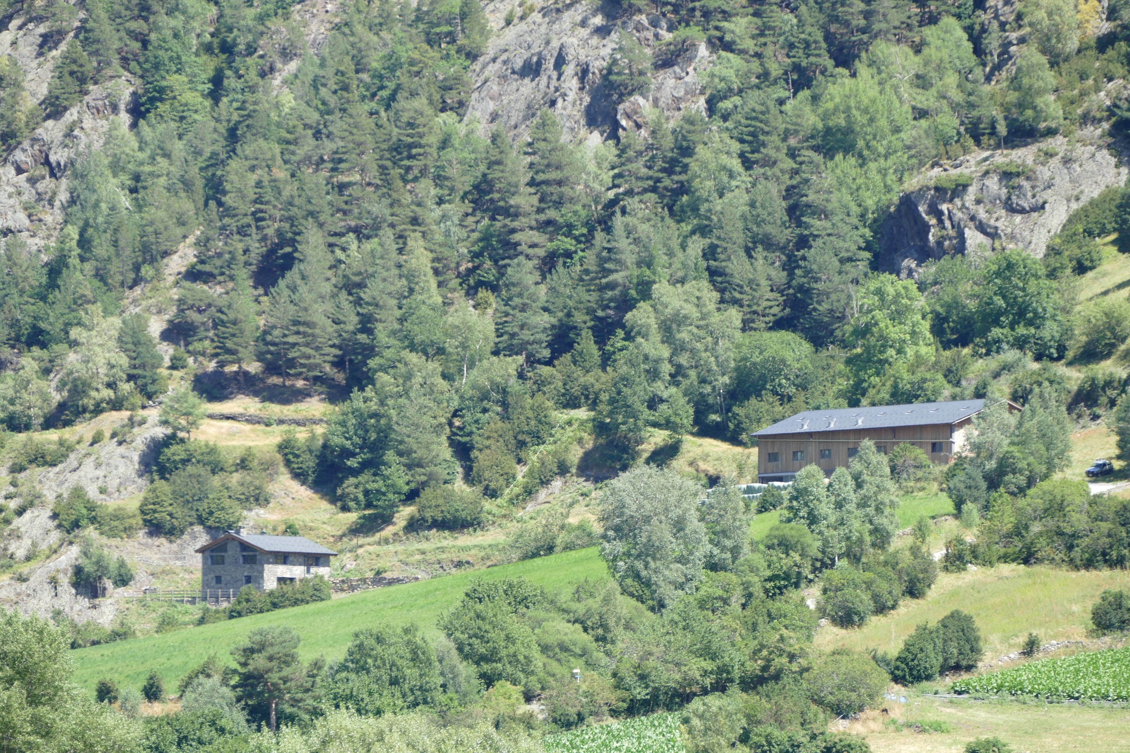 A rural landscape with a house surrounded by dense forest and rocky terrain.