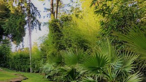 A lush garden with various plants and trees, a wooden pathway, and a clear sky. - Engy Estoril - Luxury Villas (Cascais)