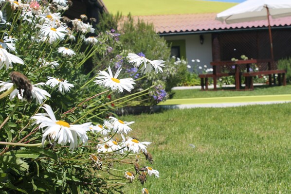 Apartment, 2 Bedrooms | Garden - Sawmill Azores (Praia da Vitoria)