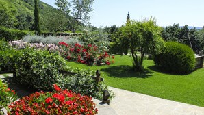 Un jardín ajardinado con un sendero de piedra, arbustos diversos y plantas florecientes.