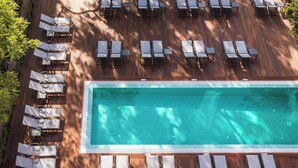 Vista aérea de una zona de piscina con tumbonas y una piscina rectangular.
