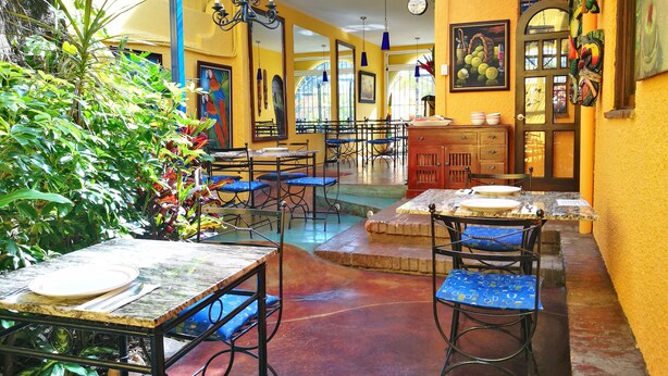 A restaurant with yellow walls, blue chairs, and a variety of plants. Tables are set with plates and cutlery. - Hotel Casa 69 (San José)